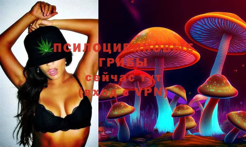 Галлюциногенные грибы Magic Shrooms  Данилов 